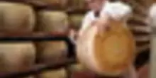 Parmigiano Reggiano a TuttoFood: export I trim +1,8%, focus formazione