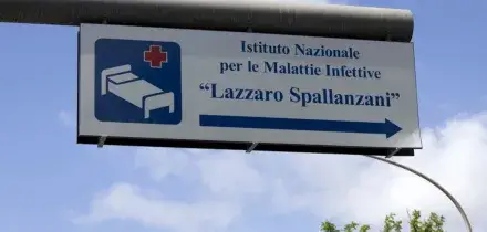 Hantavirus, il Ministero: "Tutti negativi" i test sui casi sospetti in Italia