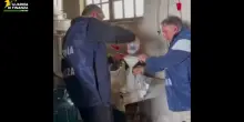 Guardia di Finanza sequestra 11 mila litri di vino nel trevigiano