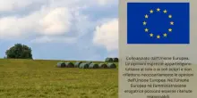 Nel 2024 sale dell'8% la quota di pesticidi venduti in Ue