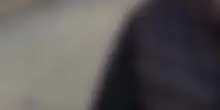 Scolari indottrinati sui migranti, il video choc. Cisint: "Lavaggio del cervello"