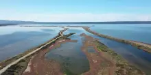Zone umide a rischio, &egrave; allarme sulla biodiversit&agrave;