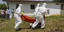 Congo, salgono a 80 i morti per Ebola. L'epidemia ora si allarga all'Uganda