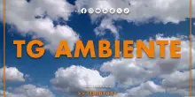 Tg Ambiente - 17/5/2026
