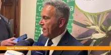 Moreschini "Con Efoi risultato storico per il comparto olive da tavola"