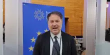Milazzo "Fare tutto il necessario per proteggere le api"
