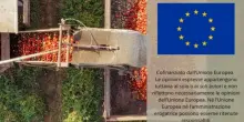 Report Ue: "Mercati agricoli solidi nel 2026 ma rischi legati al caldo"