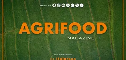 Agrifood Magazine - 20/5/2026