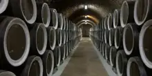 Vino, export mondiale da record ma pesano i dazi Usa
