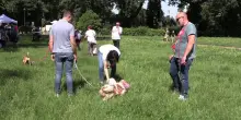 Dog Lovers Day, a Roma e Milano focus sulla prevenzione veterinaria