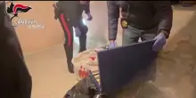 Smantellata una rete di spaccio tra Verbania e Domodossola, cinque arresti