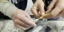Genova, scoperti 11 kg tra cocaina e hashish nascosti in un carico di mattonelle