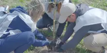 Transizione ecologica e inclusione, il modello delle imprese italiane