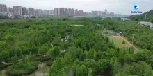 Cina, alla scoperta del modello di ripristino ecologico nel Jiangxi
