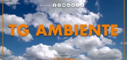 Tg Ambiente - 24/5/2026