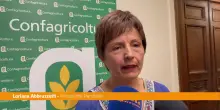 Abbruzzetti "Respiro internazionale per IX edizione premio Filo della Torre"