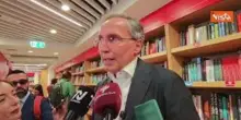 Elezioni comunali 2026, Boccia (Pd): Molto bene a Trani e Andria, dispiace per alcune citt&agrave;