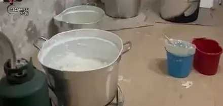 Dall'Ecuador al litorale laziale, smantellato cartello della cocaina
