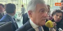 Elezioni comunali 2026, Tajani: Centrodestra gode di ottima salute, Forza Italia cresce ovunque