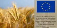 Hansen in "missione agroalimentare" in Thailandia, al lavoro su partnership