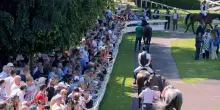 Una nuova stagione di ippica, eventi e intrattenimento all'Ippodromo di Milano