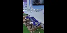 Cina, cane robot supera terreni accidentati alla World Intelligence Expo