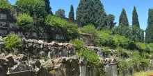 Loculi inghiottiti dal verde, infiltrazioni e bagni fuori uso. I romani: "Nessun rispetto per i morti"