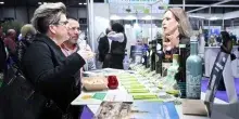 Il settore spagnolo dell'olio d'oliva mira al mercato cinese