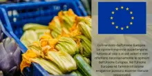 Il commercio agroalimentare Ue in calo a febbraio, ma surplus a 4 miliardi