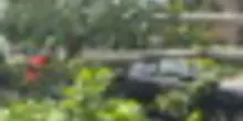 Roma nord-est, tromba d'aria a nord-est devasta strade e mercato