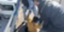 Polizia turca "estrae" 30 migranti da un'autocisterna