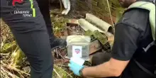 Maxi sequestro di armi e droga in un bosco nel Torinese, 2 arresti