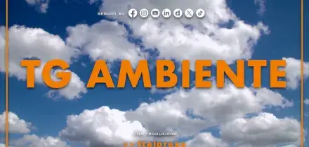 Tg Ambiente - 7/6/2026
