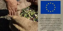 Ue al G7 Agricoltura: "No a restrizioni ingiustificate all'export di fertilizzanti"