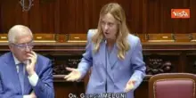 Meloni sbotta e risponde a Silvestri: Mai indossato ginocchiere, sono arrivata qui senza scorciatoie