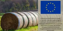 Ue annuncia fino a 540 milioni di aiuti agli agricoltori e flessibilit&agrave; Pac