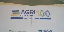 Agri100, da Reale Mutua e Confagricoltura Puglia il nuovo report