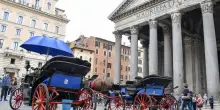 Botticelle, la verit&agrave; dei vetturini: "Ma quale addio, non scende nessuno"