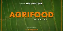 Agrifood Magazine - 17/6/2026