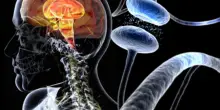 Un "pacemaker cerebrale" che impara a camminare: la nuova stimolazione che riduce le cadute nel Parkinson