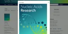 Rna, ecco come le cellule elaborano l'informazione