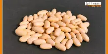 Sorsi di Benessere - Una crema leggera e gustosa