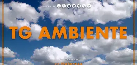 Tg Ambiente - 21/6/2026