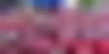 Mondiali, impazza la Viking Row Mania, tifosi norvegesi star del web