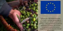 L'Ue stanzia 56 milioni da Pac per agricoltori di 5 Paesi colpiti da calamit&agrave;