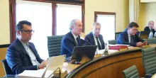 Comunicato Stampa: &lsquo;Istituzione dell'Osservatorio Olivicolo Veneto'
