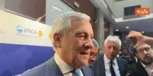 Tajani: Dichiarazioni Rutte? Su aerei Usa rispettate tutte le norme, pronti a dirlo in Parlamento