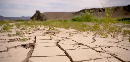 Clima, la siccit&agrave; minaccia la produzione agricola mondiale