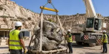 Comunicato Stampa: Scoperta Pietra ALMA, il monolite che racconta 176 milioni di anni di storia della Terra