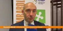 Morelli "Sulle locazioni turistiche serve pianificazione"